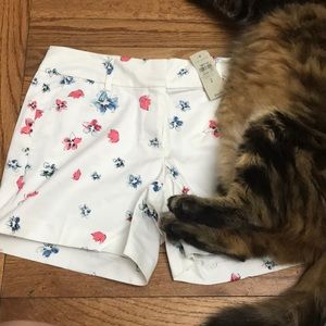 Ann Taylor shorts